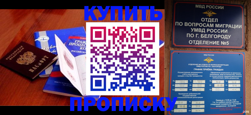 прописка гарантия в Гатчине